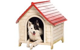 A dog in a doghouse