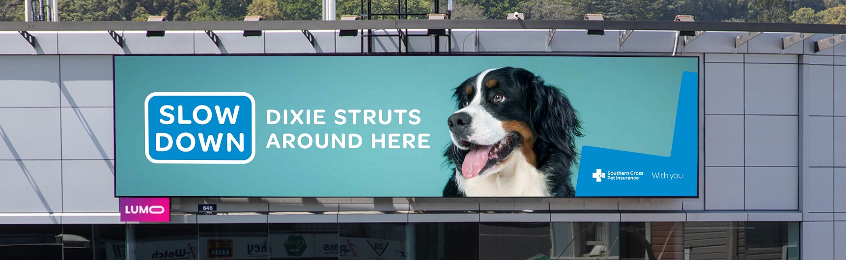 Photo of a billboard telling drivers to slow down and watch for pets