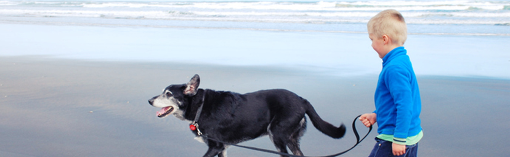 Boy walking dog on beach