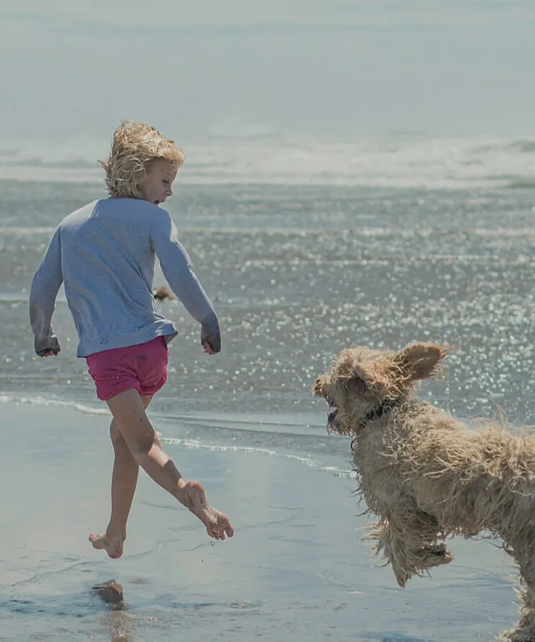 A boy playing with his dog at the beach