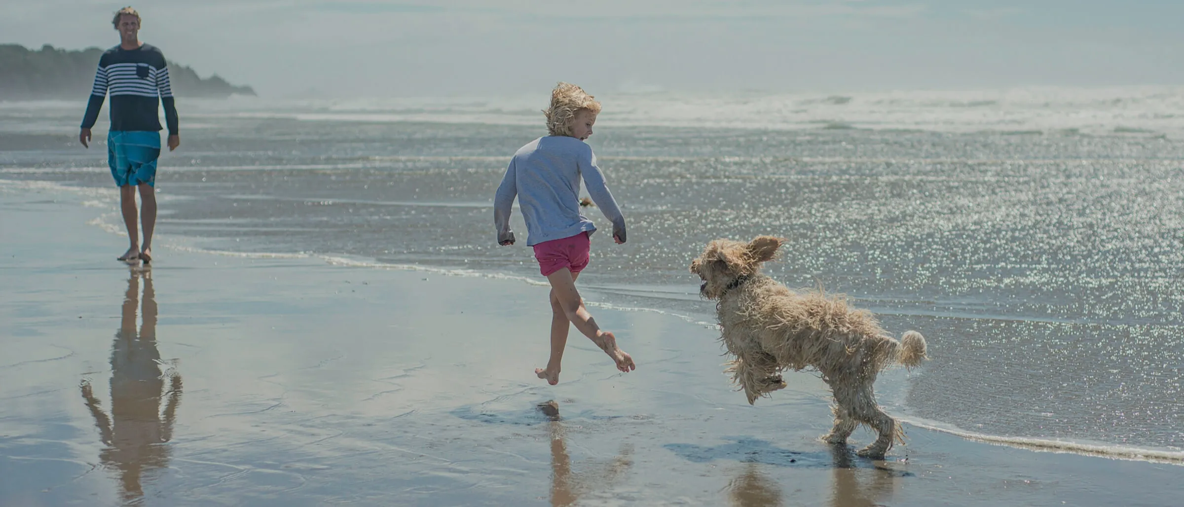 A family run on the beach with a dog