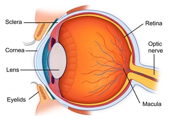 laser eye surgery light sensitivity