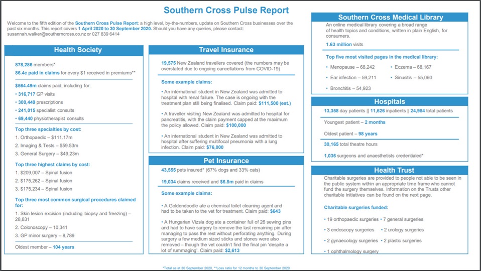 A snap shot of the Southern Cross Apr-Sep 2020 Pulse report