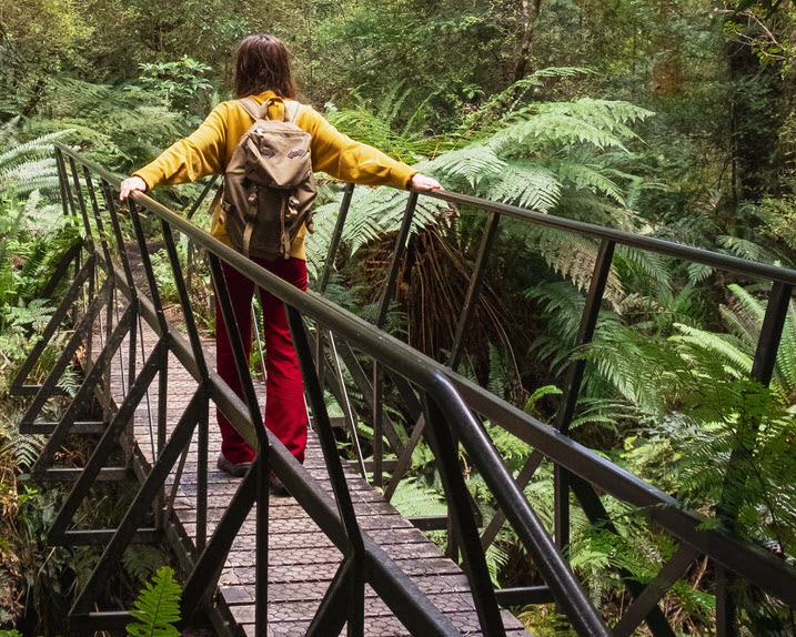A woman crossing a walk bridge in a New Zealand forrest