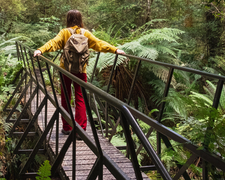 Southern Cross Health Insurance - special hours A woman crossing a walk bridge in a New Zealand forrest