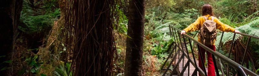 A woman crossing a walk bridge in a New Zealand forrest