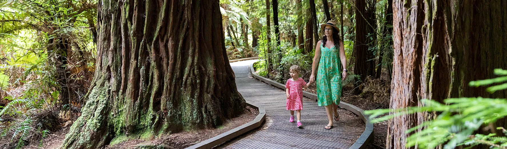 A mother and daughter walking a forest track